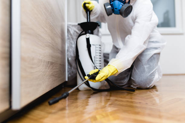 Best Emergency Pest Control  in Sneedville, TN