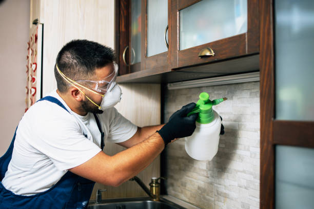 Best Insect Control  in Sneedville, TN