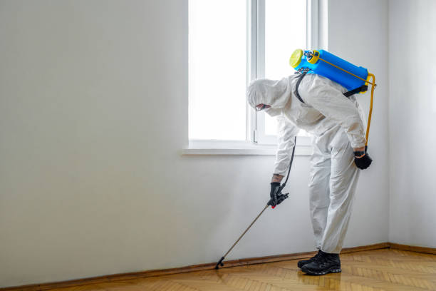 Reliable Sneedville, TN Pest Control Solutions