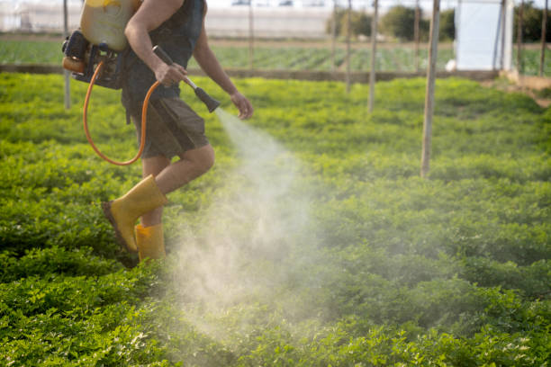 Best Exterminator Services  in Sneedville, TN