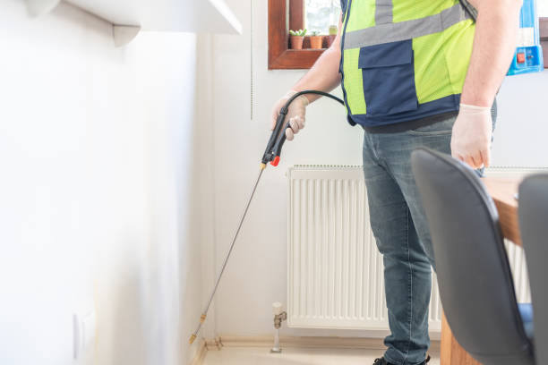 Best Wasp Removal Services  in Sneedville, TN