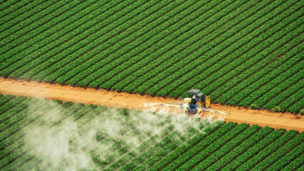  Sneedville, TN Pest Control Pros