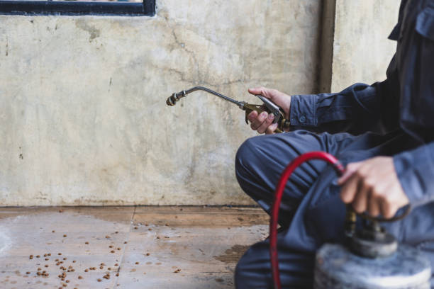 Best Pest Control Cost  in Sneedville, TN