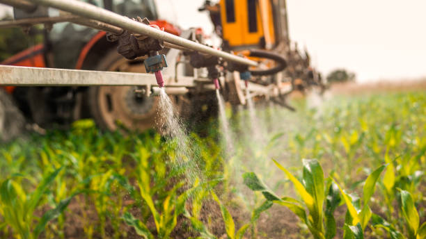 Pest Control Cost in Sneedville, TN